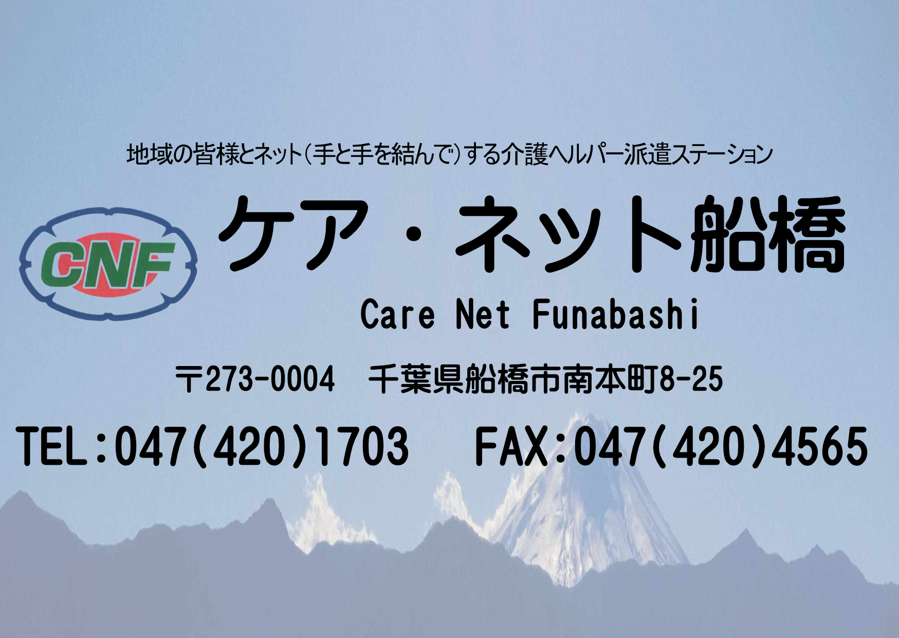 carenet-funabashi.com